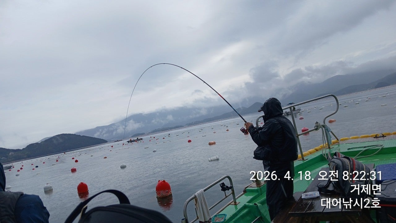 ����ڰ� �ø� �̹���