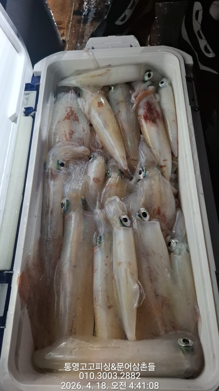 ����ڰ� �ø� �̹���