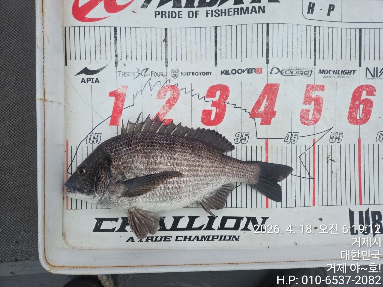 ����ڰ� �ø� �̹���