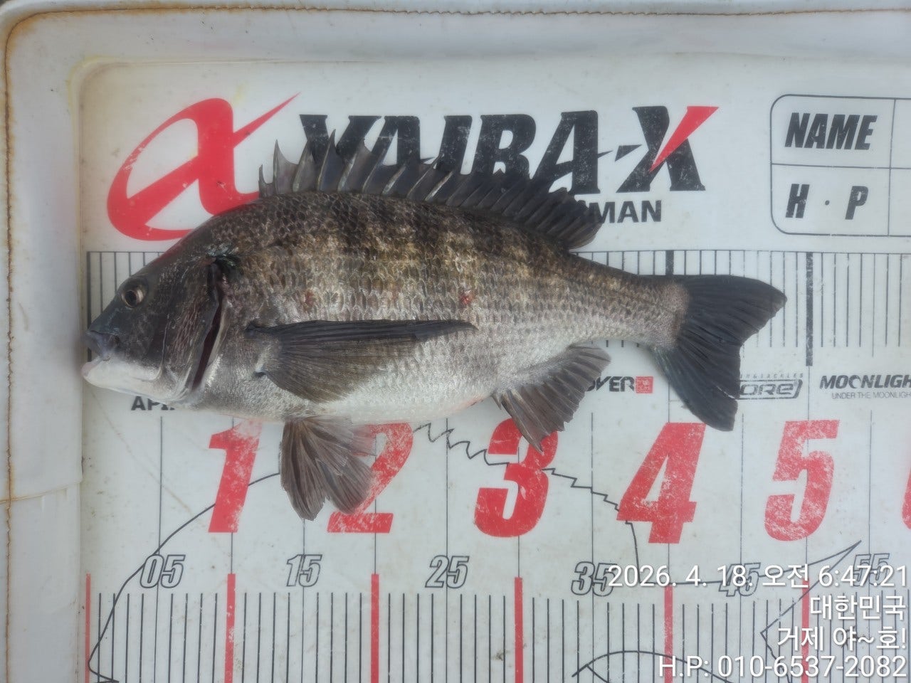 ����ڰ� �ø� �̹���