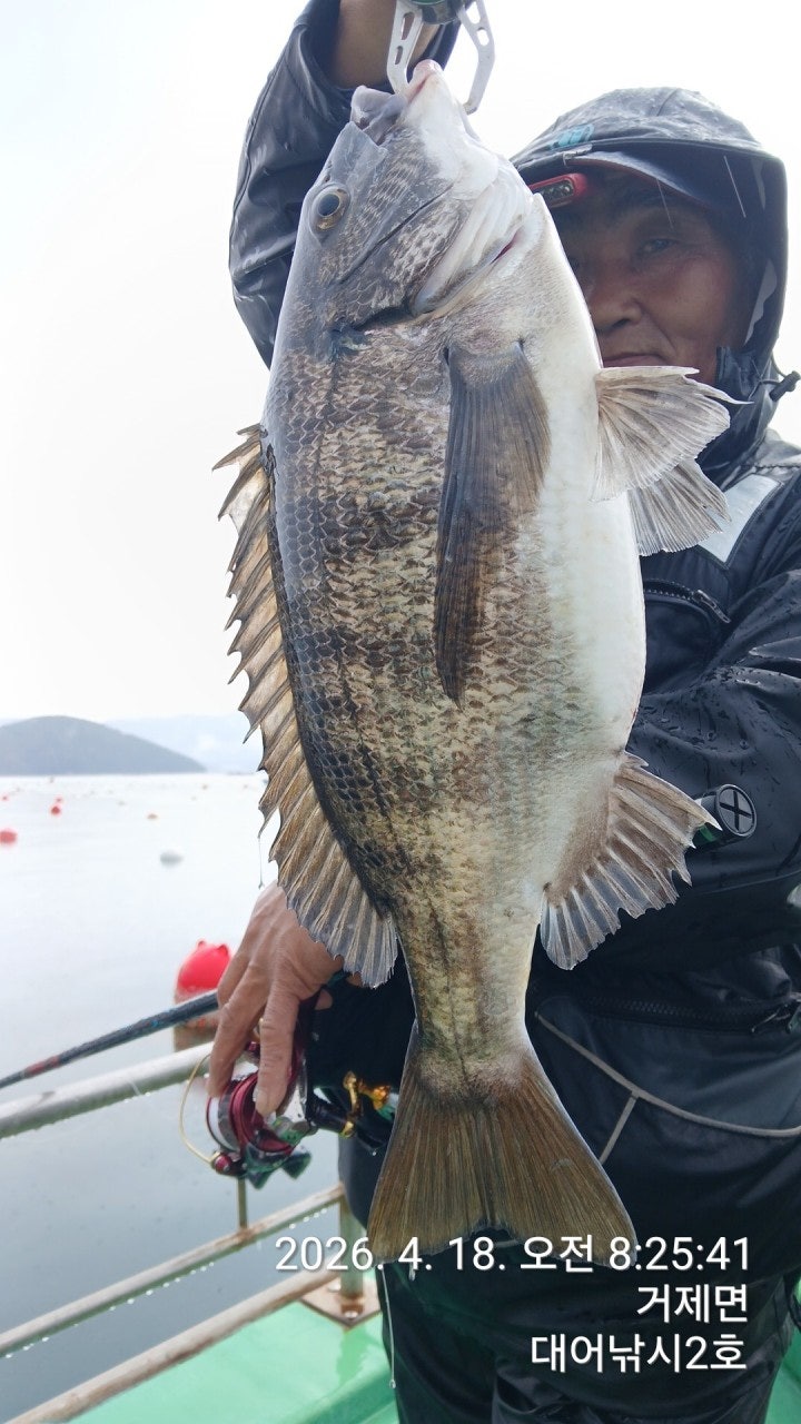 ����ڰ� �ø� �̹���