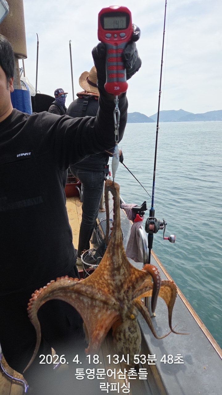 ����ڰ� �ø� �̹���