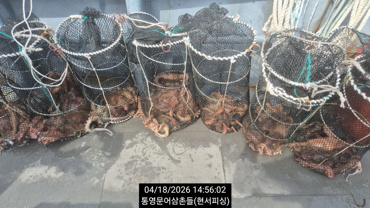 ����ڰ� �ø� �̹���