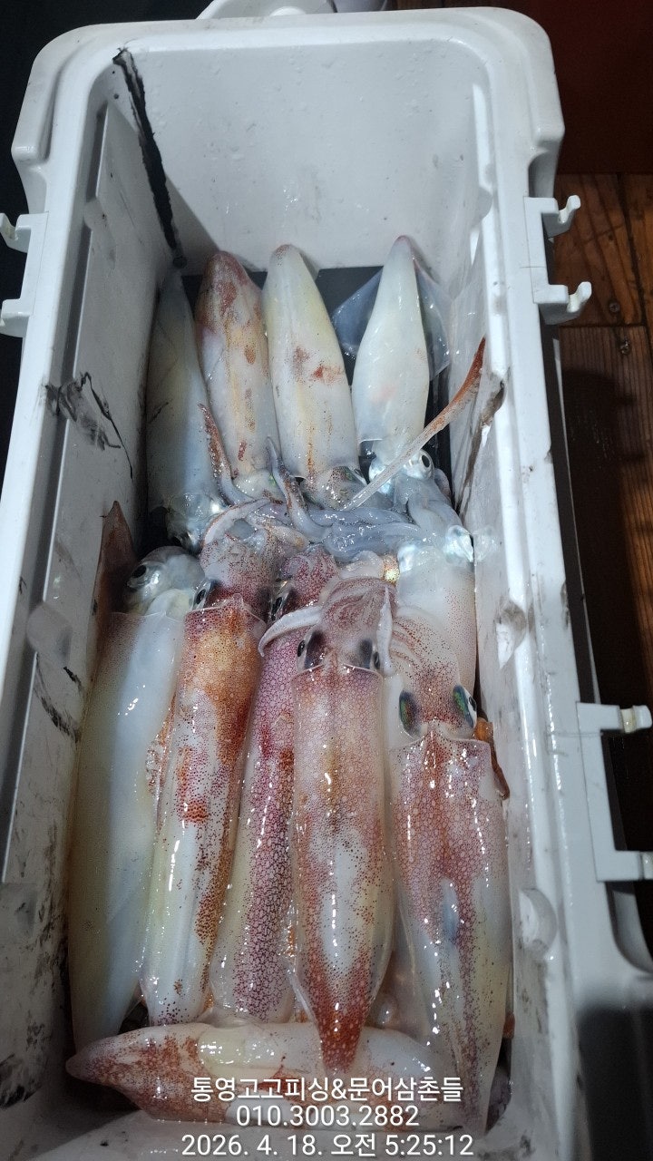 ����ڰ� �ø� �̹���