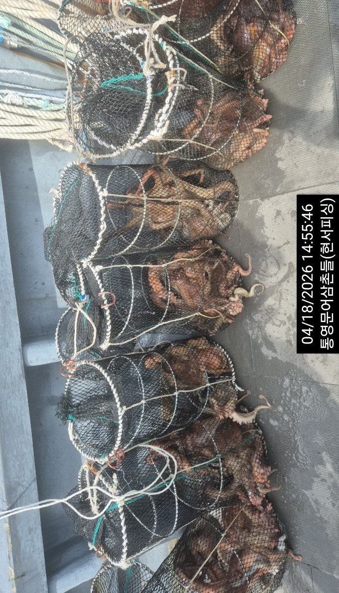 ����ڰ� �ø� �̹���