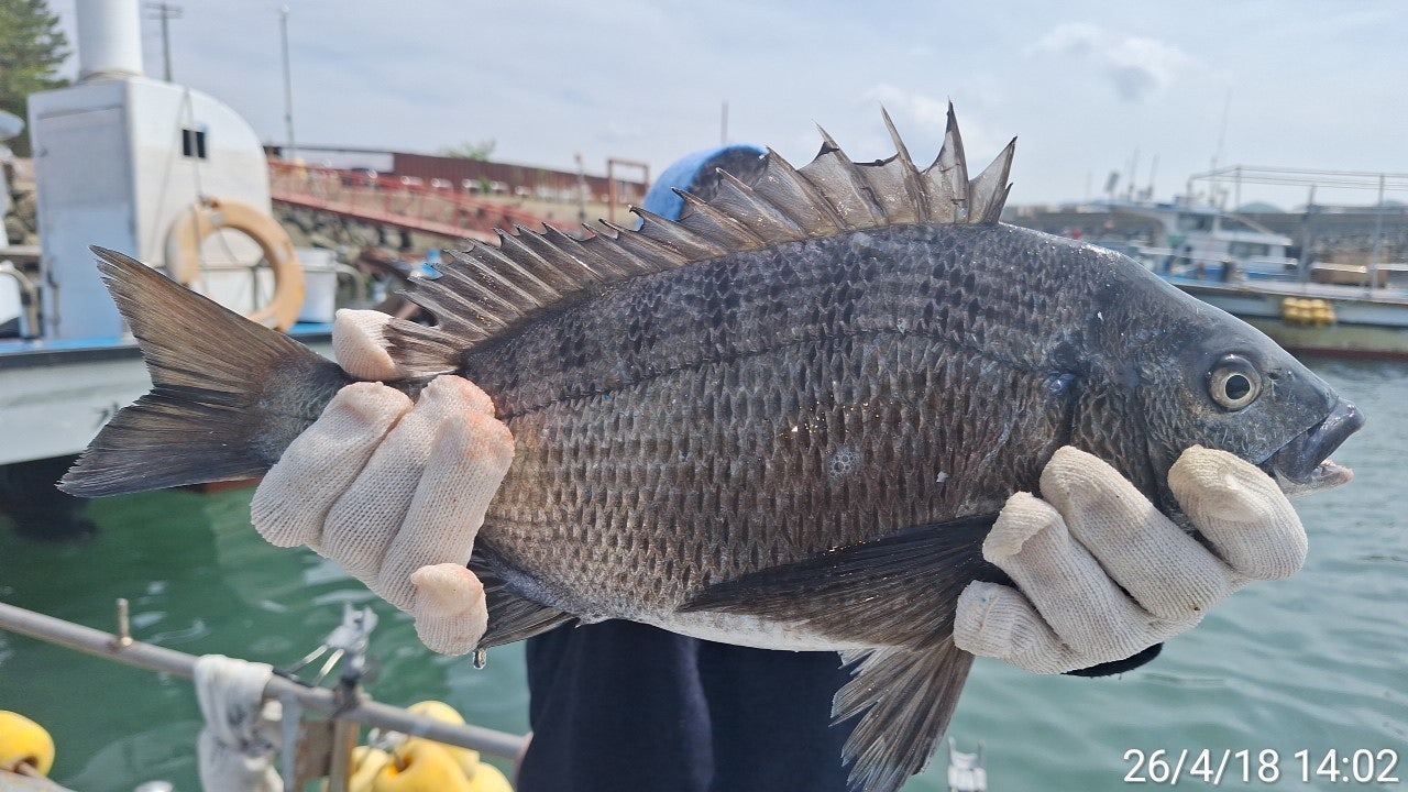 ����ڰ� �ø� �̹���