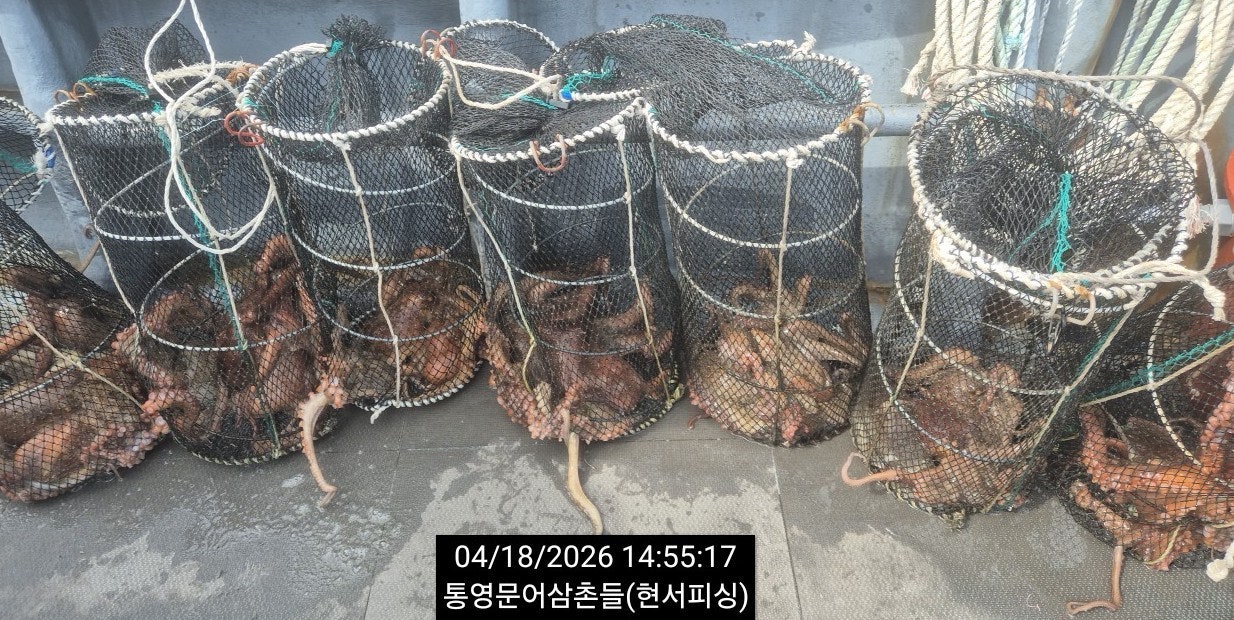 ����ڰ� �ø� �̹���