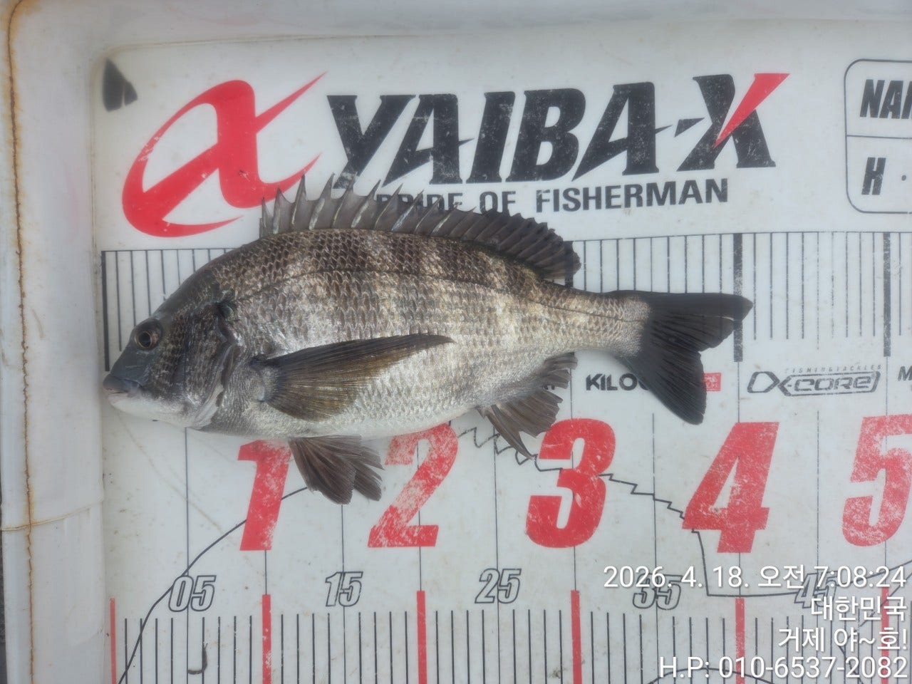 ����ڰ� �ø� �̹���