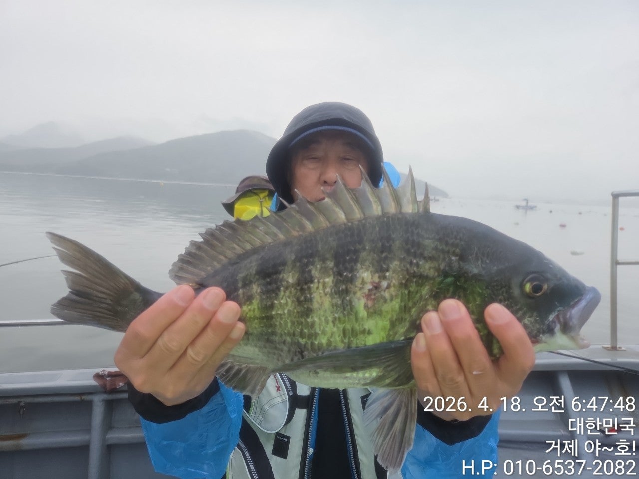 ����ڰ� �ø� �̹���