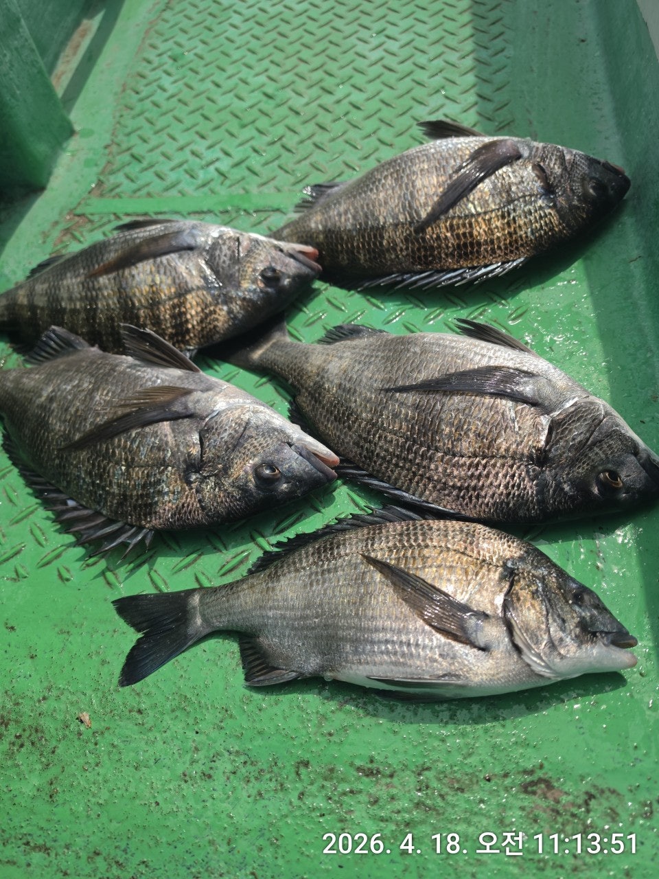 ����ڰ� �ø� �̹���