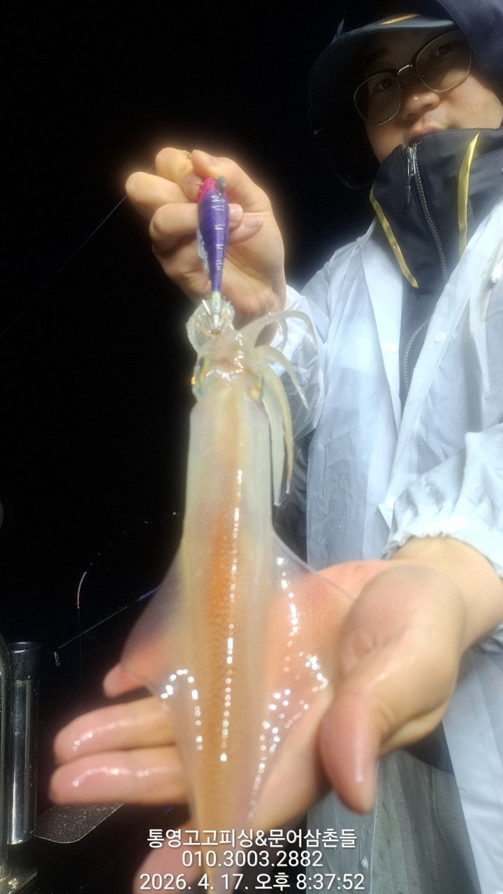 ����ڰ� �ø� �̹���