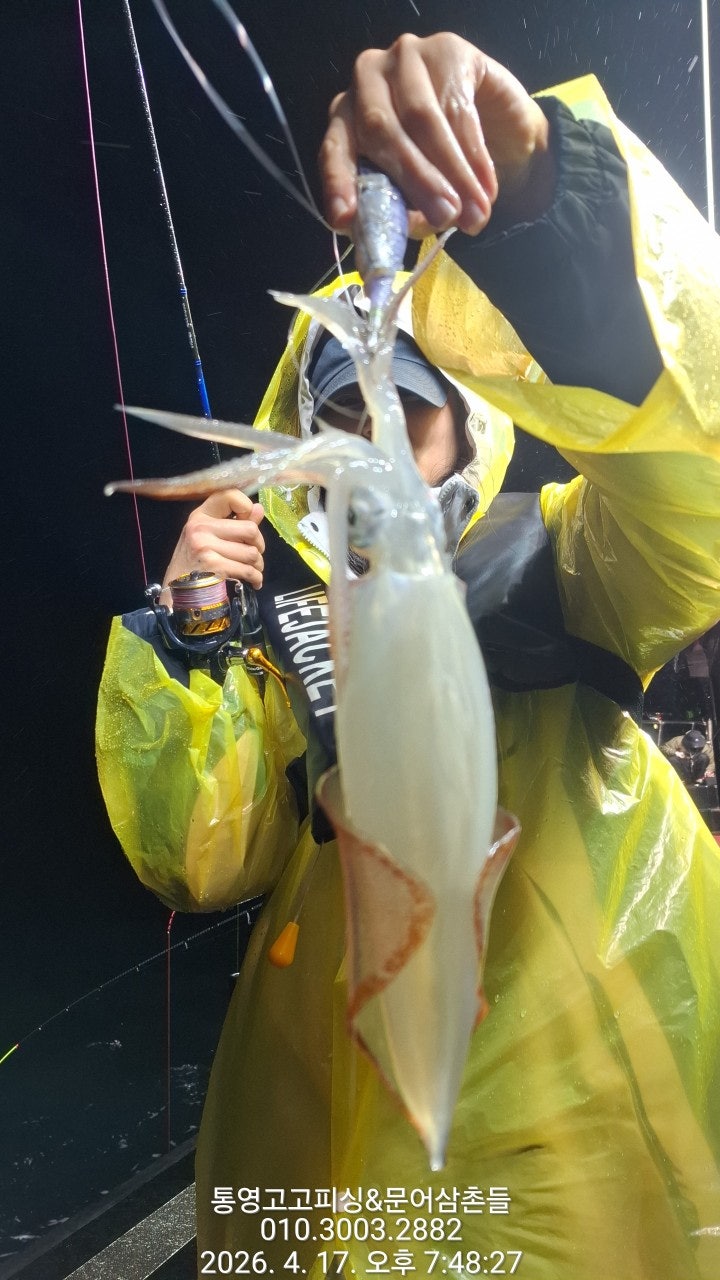 ����ڰ� �ø� �̹���