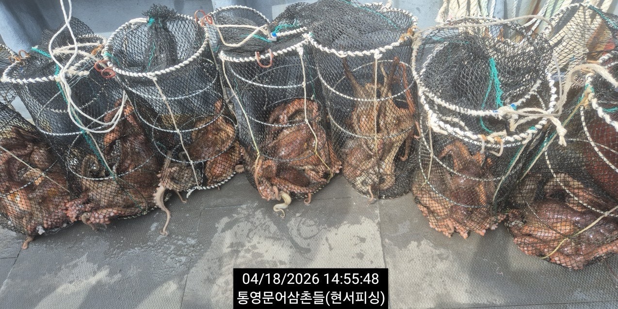 ����ڰ� �ø� �̹���