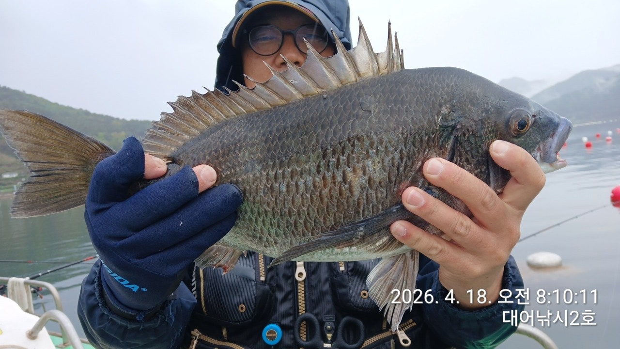 ����ڰ� �ø� �̹���