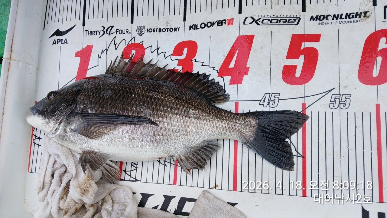 ����ڰ� �ø� �̹���