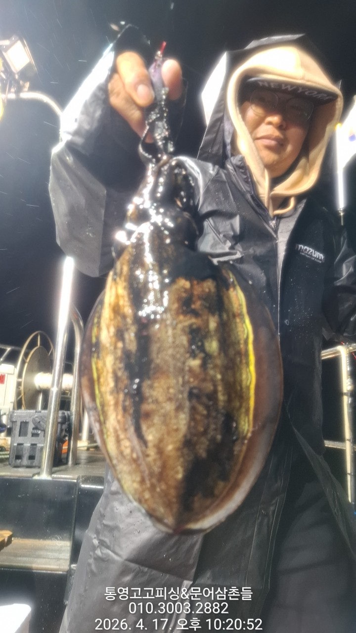 ����ڰ� �ø� �̹���