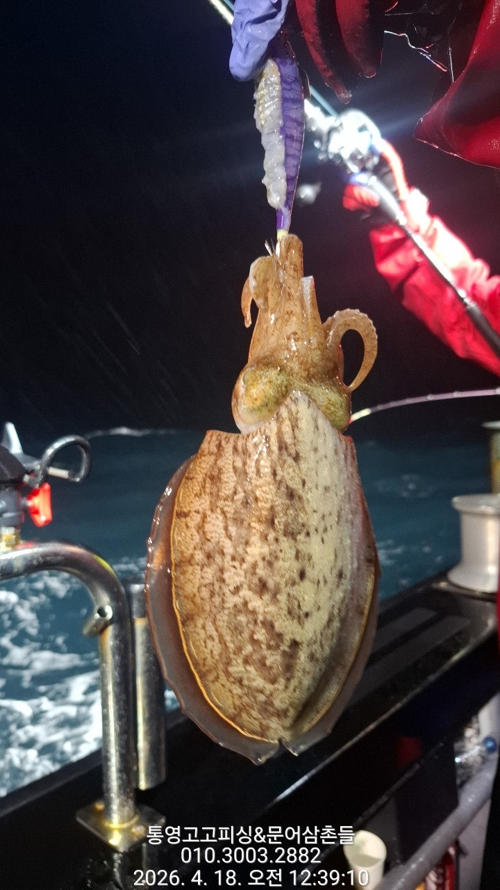 ����ڰ� �ø� �̹���