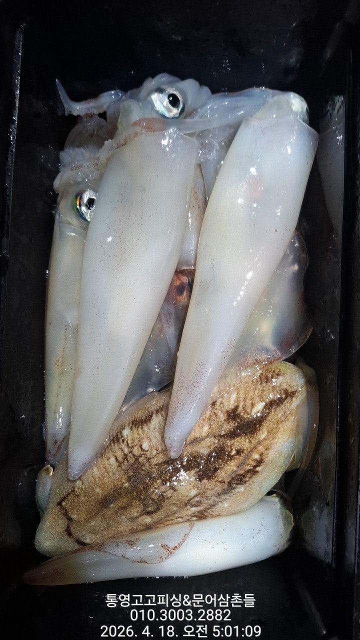 ����ڰ� �ø� �̹���