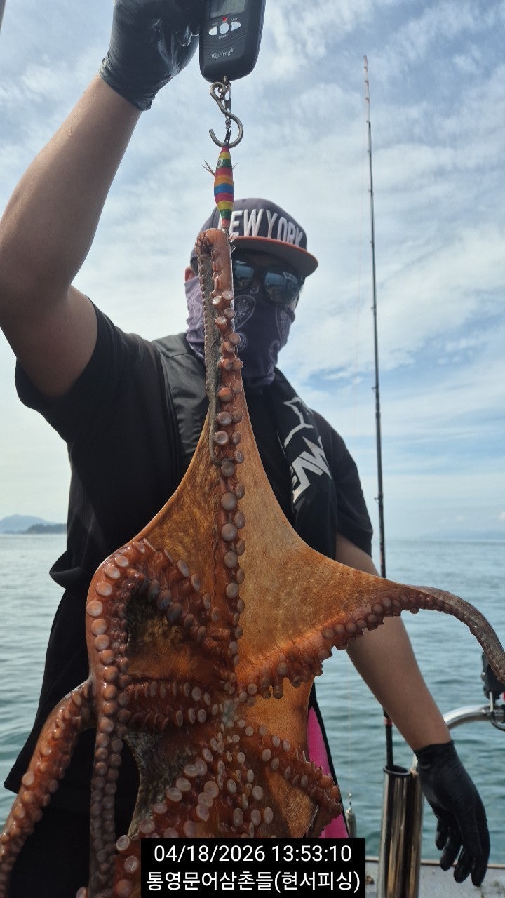 ����ڰ� �ø� �̹���