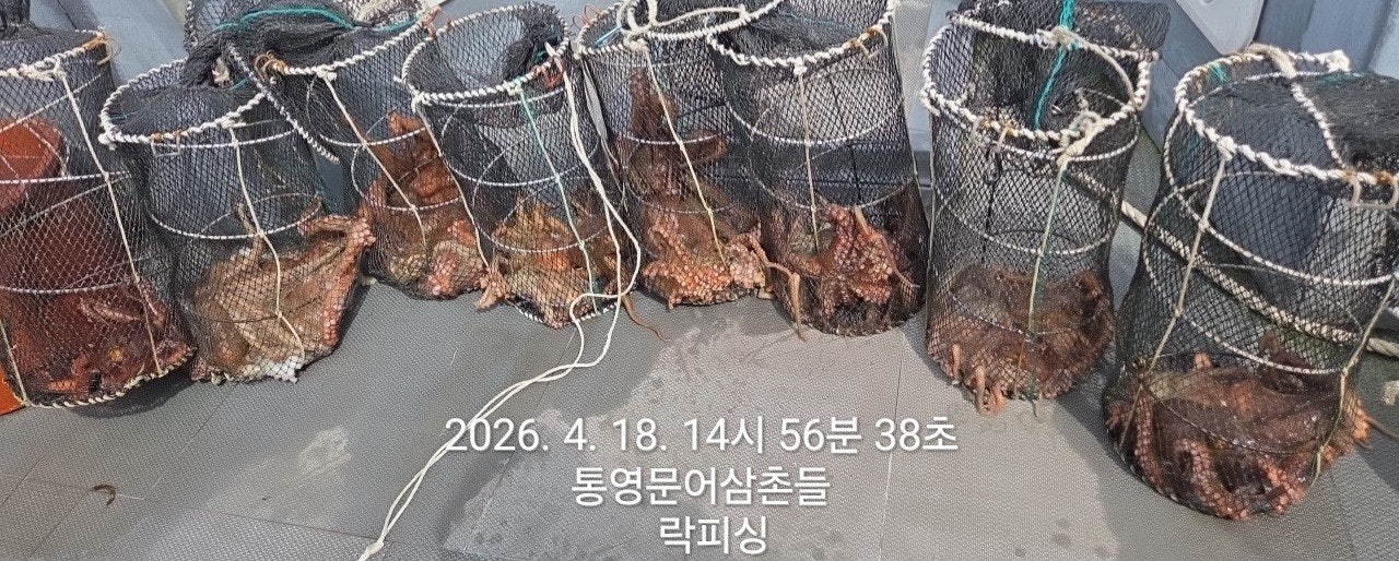 ����ڰ� �ø� �̹���