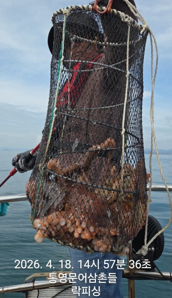 ����ڰ� �ø� �̹���