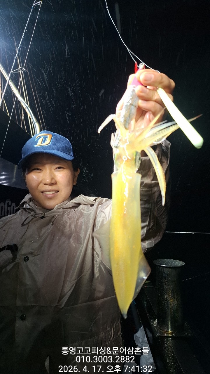 ����ڰ� �ø� �̹���