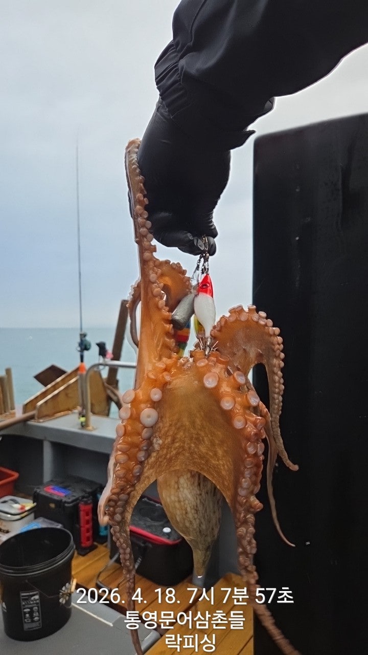 ����ڰ� �ø� �̹���