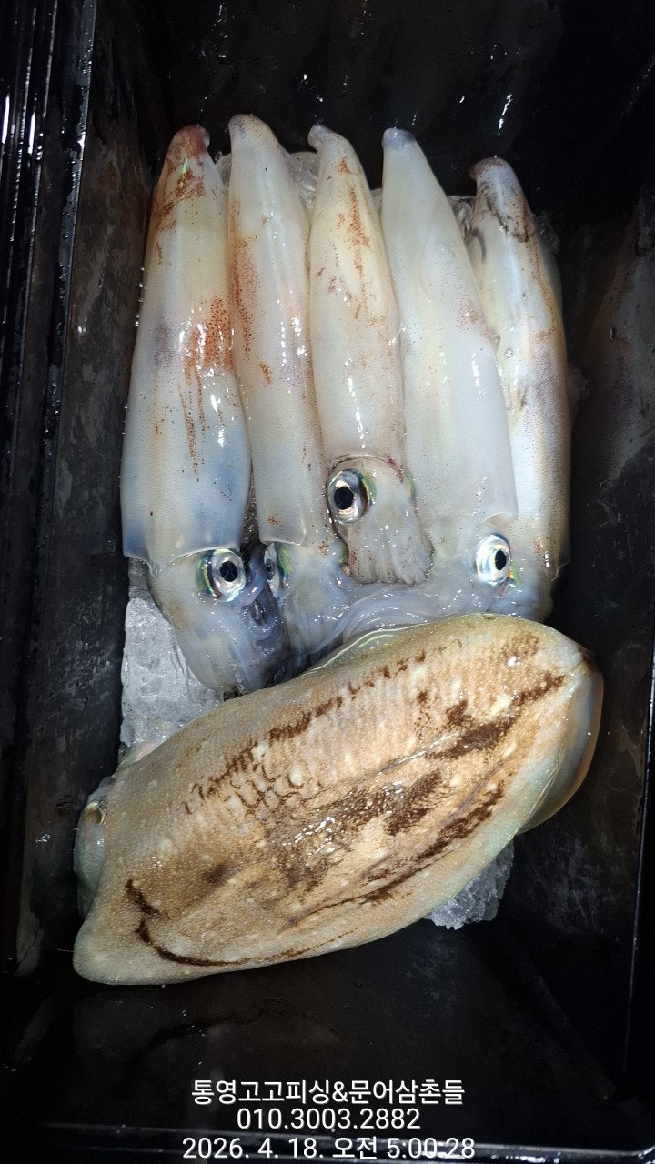 ����ڰ� �ø� �̹���