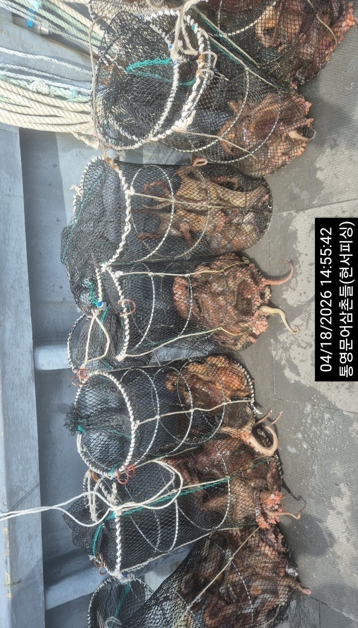 ����ڰ� �ø� �̹���