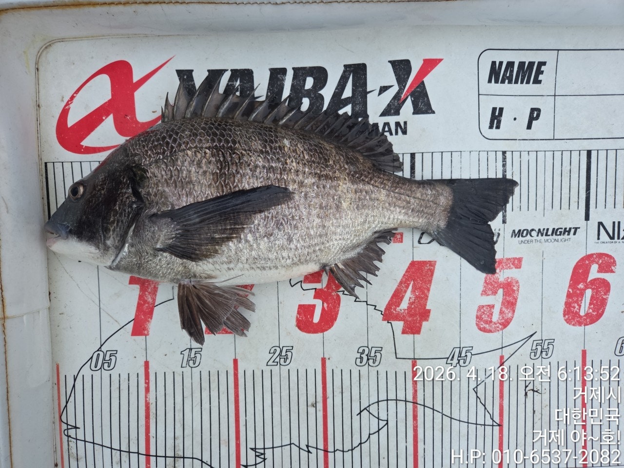 ����ڰ� �ø� �̹���