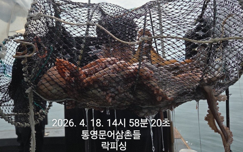 ����ڰ� �ø� �̹���