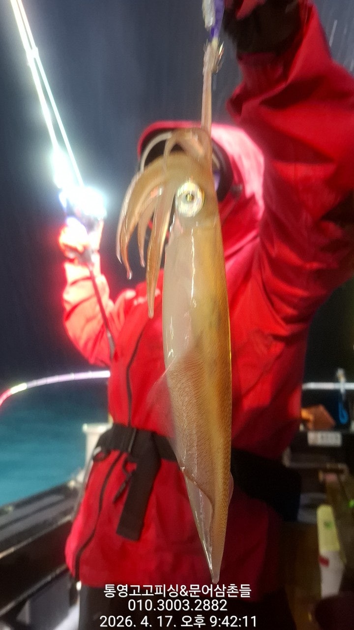 ����ڰ� �ø� �̹���