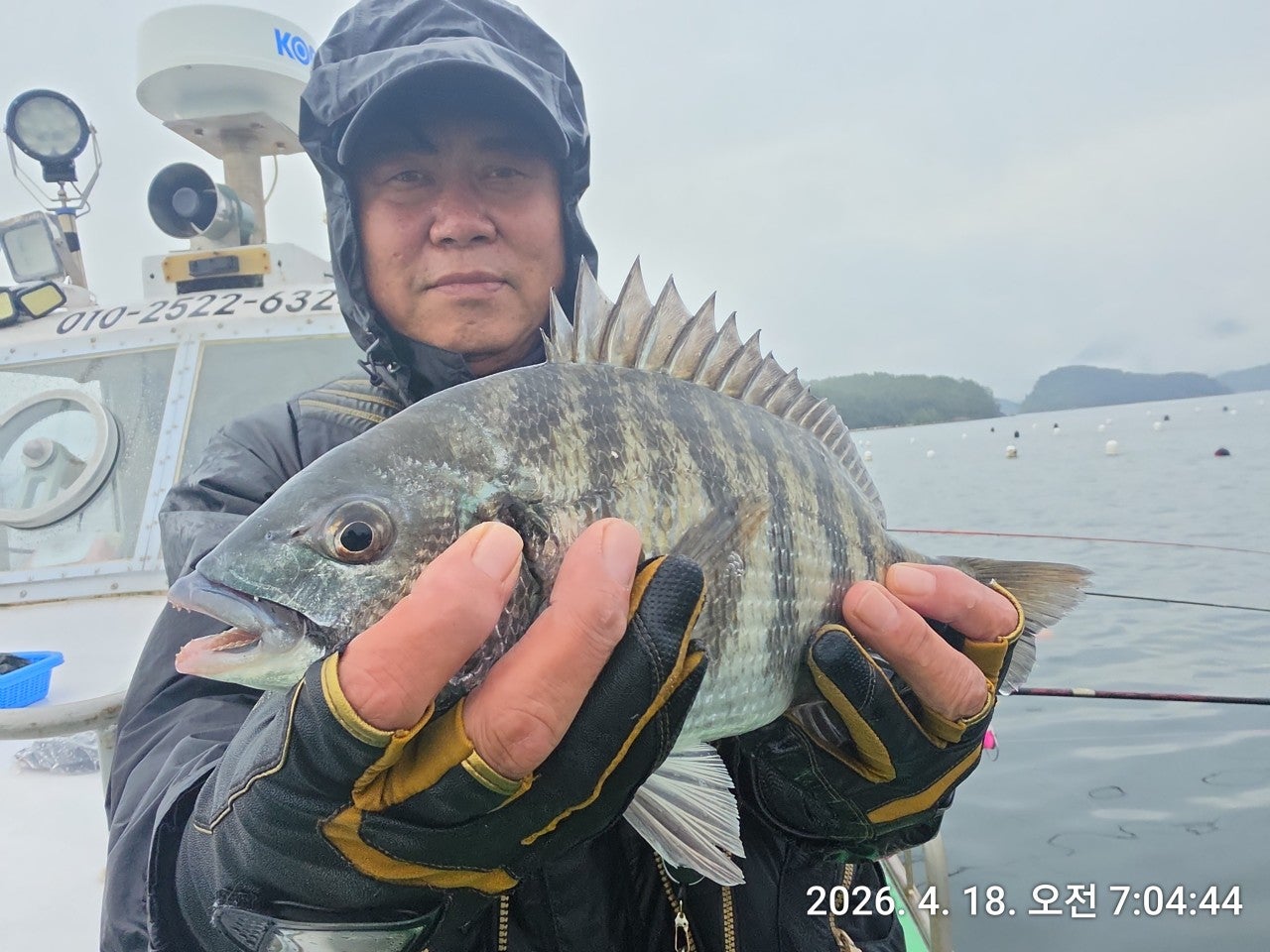 ����ڰ� �ø� �̹���