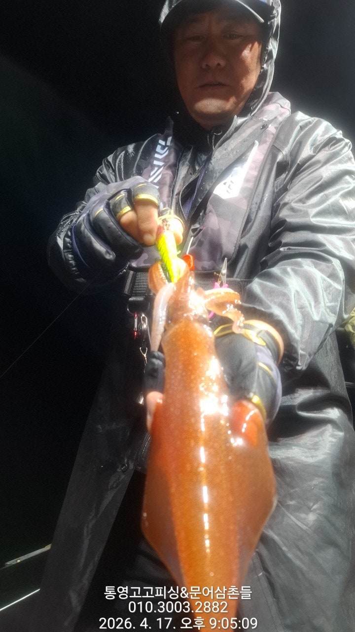 ����ڰ� �ø� �̹���