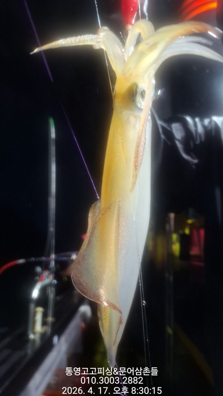 ����ڰ� �ø� �̹���