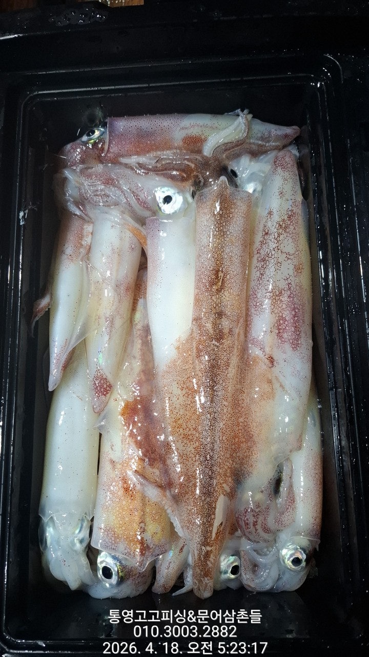 ����ڰ� �ø� �̹���