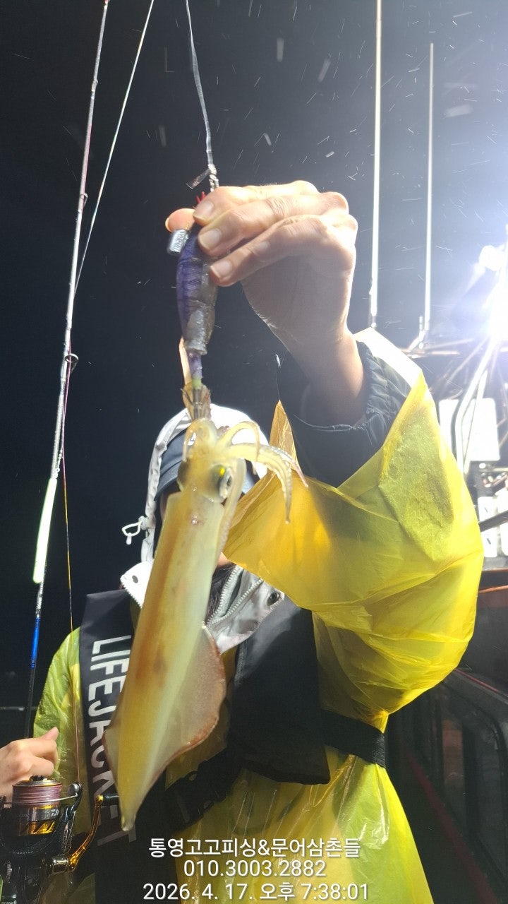 ����ڰ� �ø� �̹���