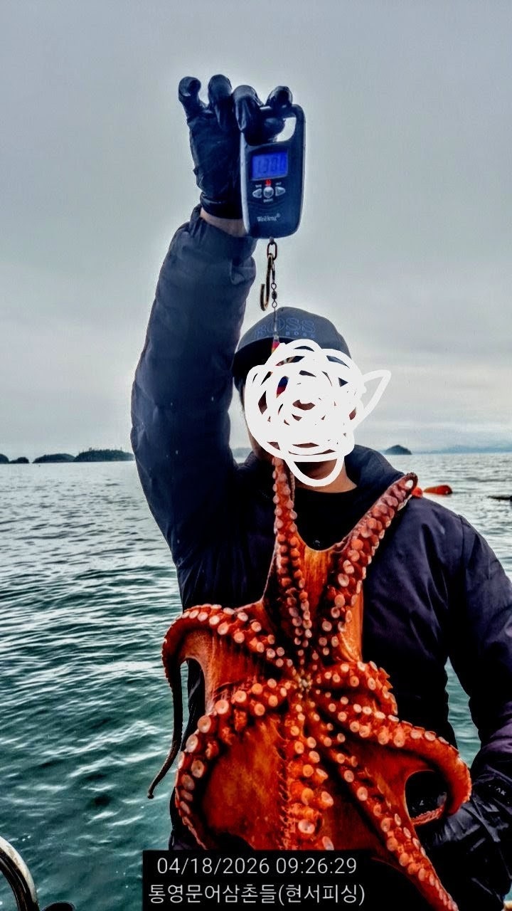 ����ڰ� �ø� �̹���