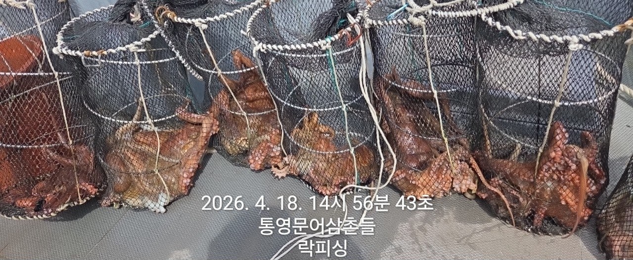 ����ڰ� �ø� �̹���