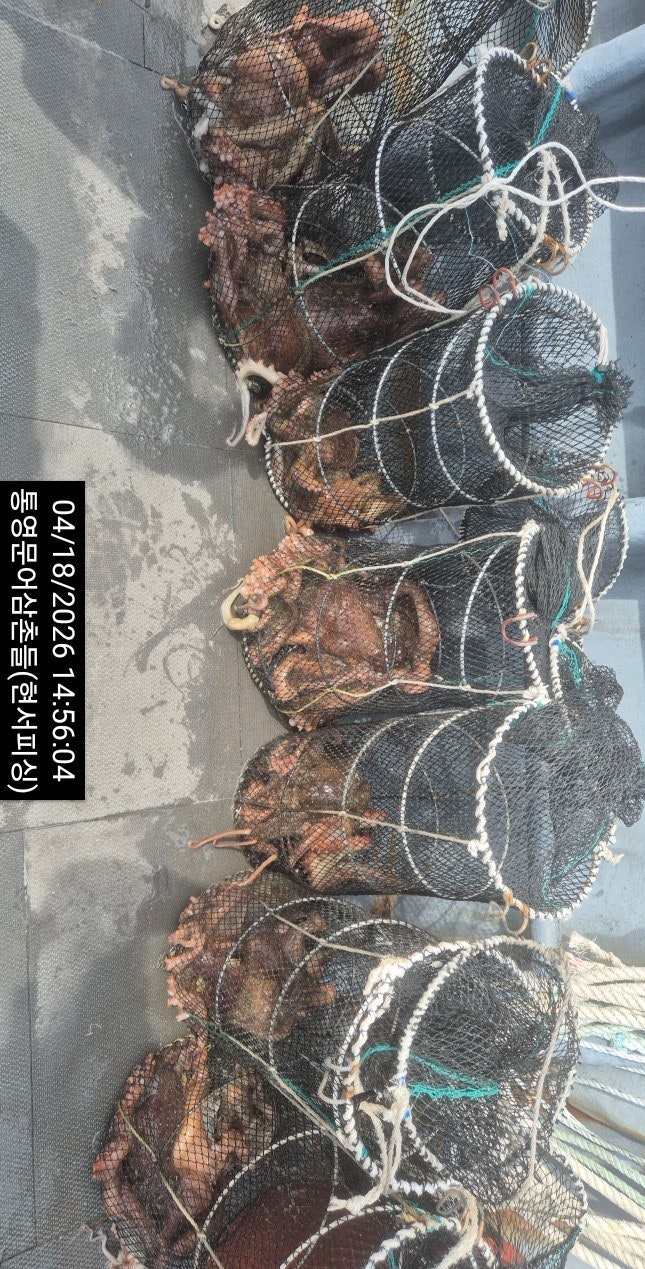 ����ڰ� �ø� �̹���