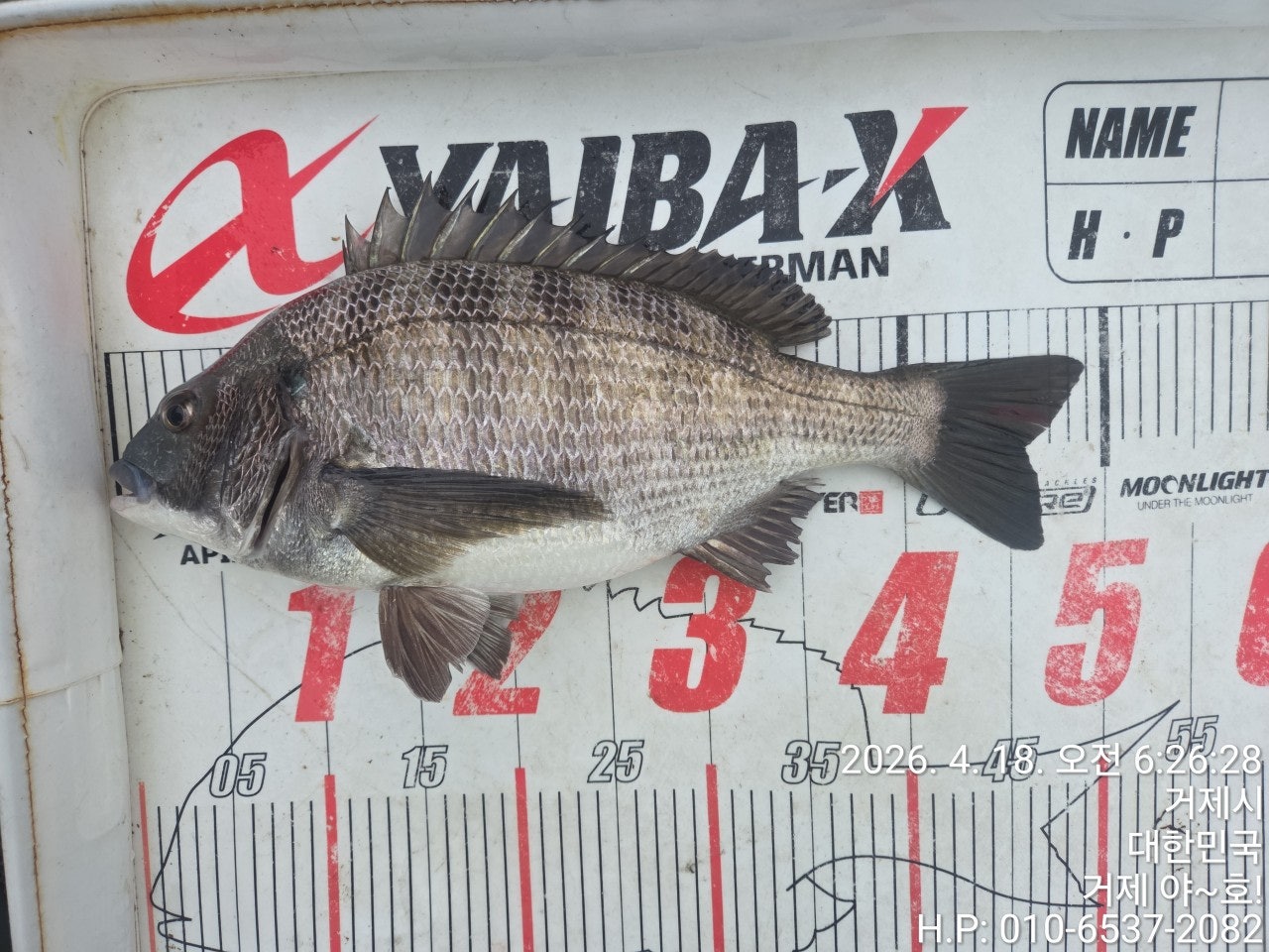 ����ڰ� �ø� �̹���