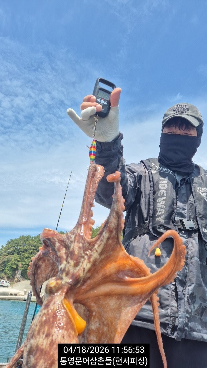 ����ڰ� �ø� �̹���