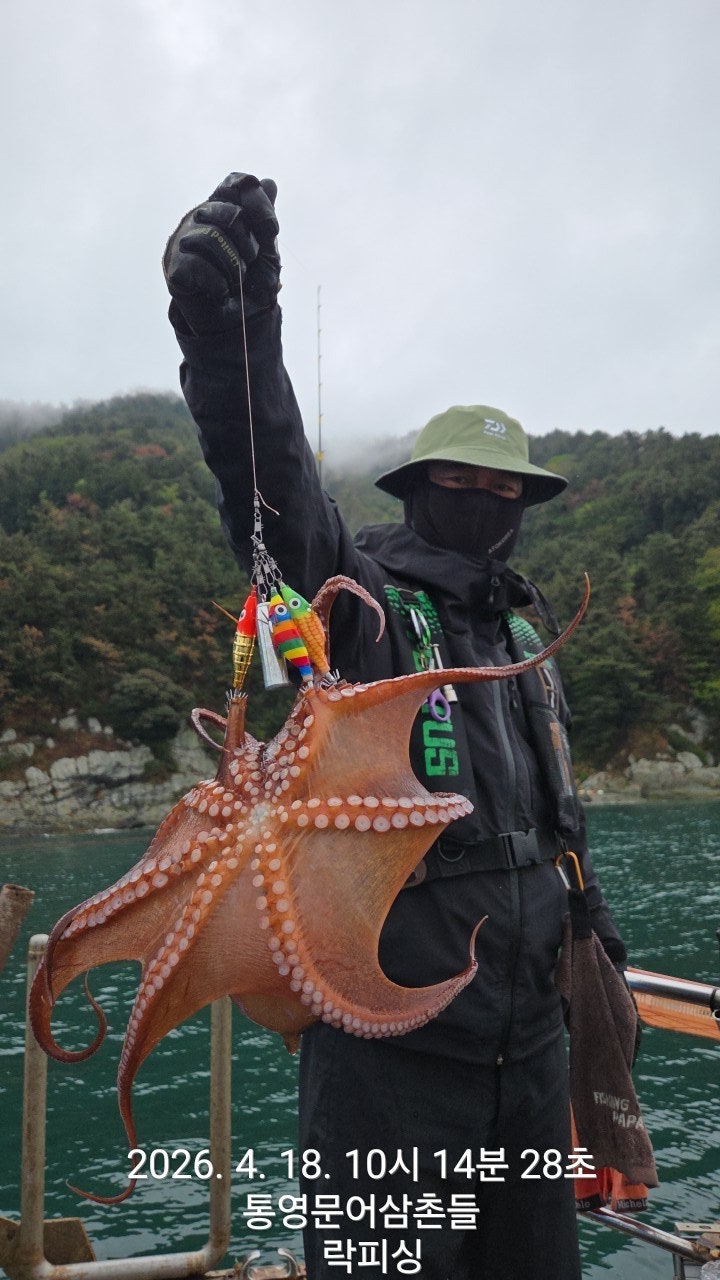 ����ڰ� �ø� �̹���