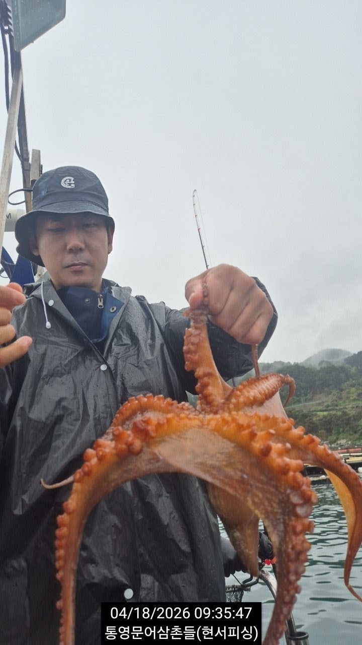 ����ڰ� �ø� �̹���