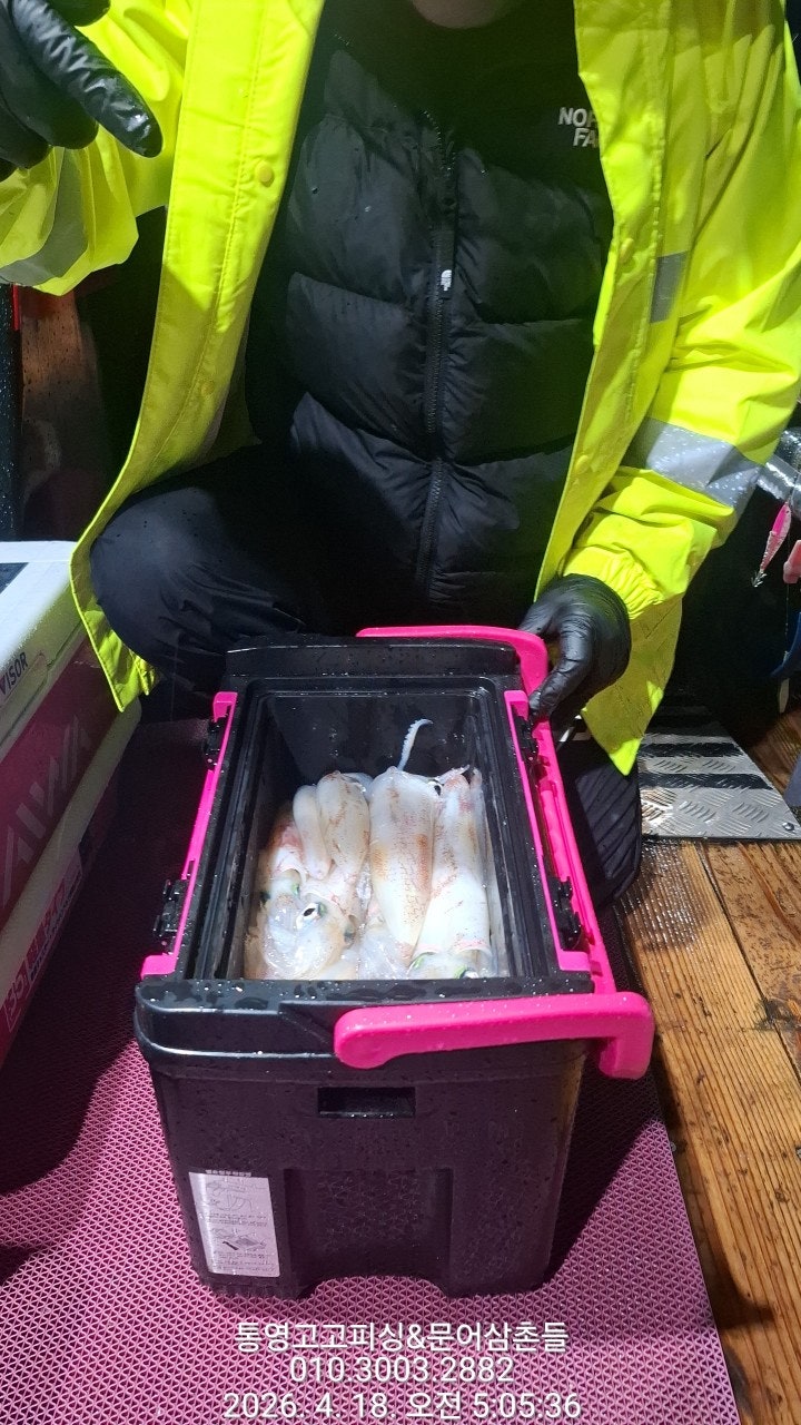 ����ڰ� �ø� �̹���