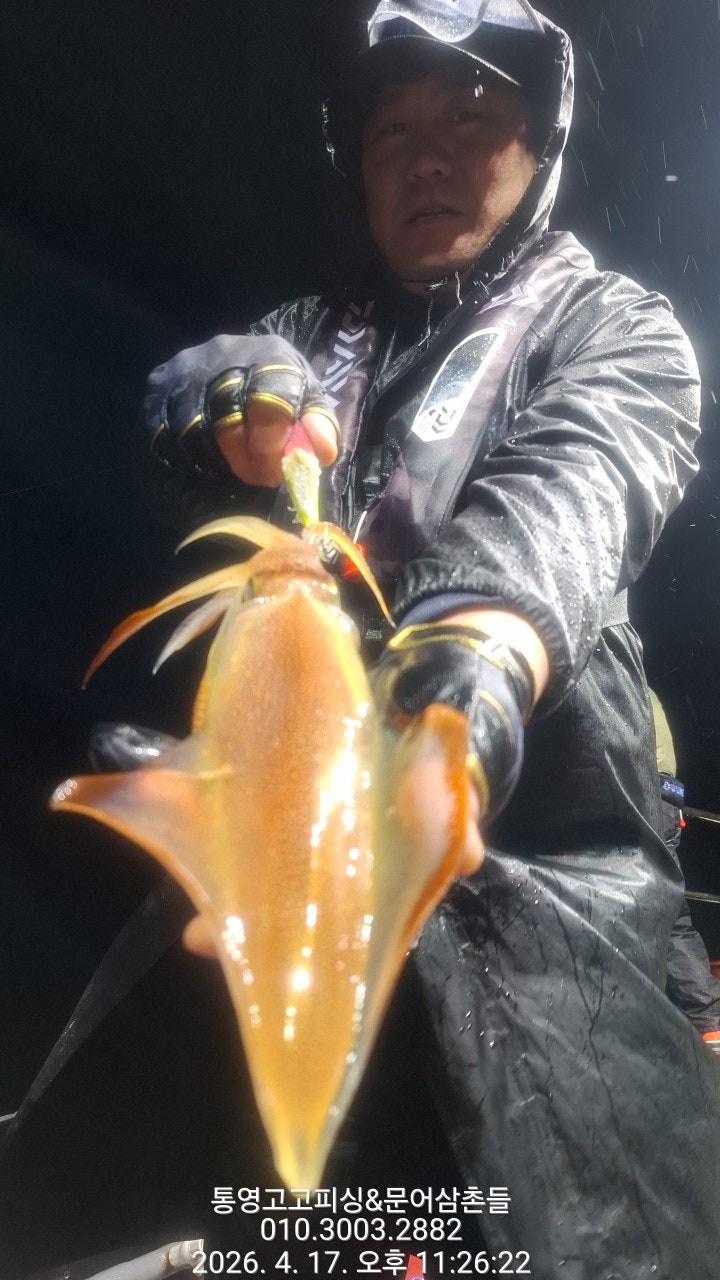 ����ڰ� �ø� �̹���