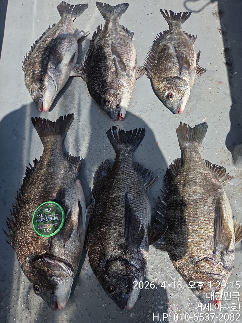 ����ڰ� �ø� �̹���