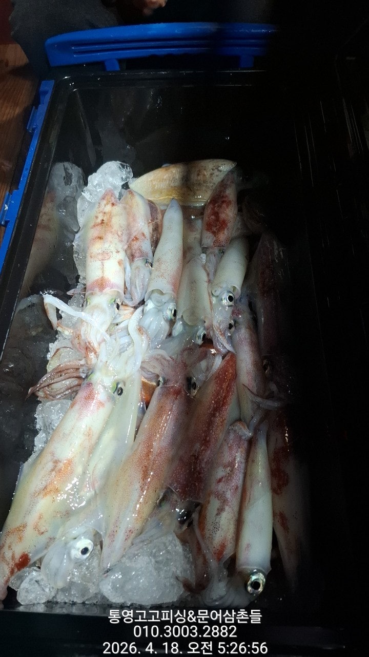 ����ڰ� �ø� �̹���