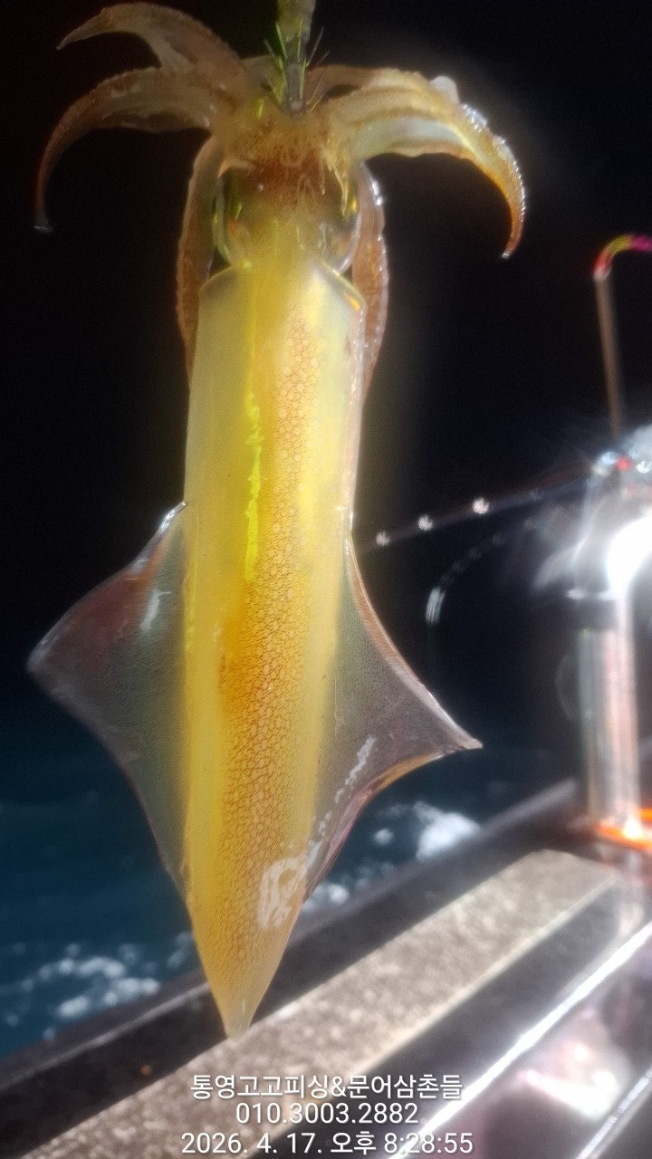 ����ڰ� �ø� �̹���