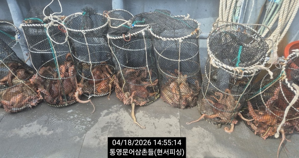 ����ڰ� �ø� �̹���